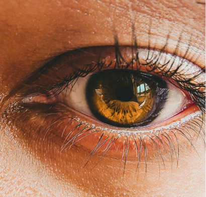 eyelashes after a lash lift and tint